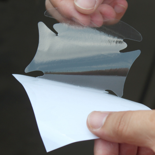 Peeling the backing off the protector film